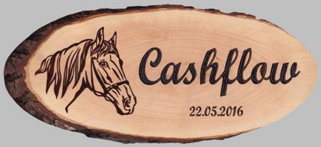 Boxenschild mit Pferd, Gravur: Cashflow