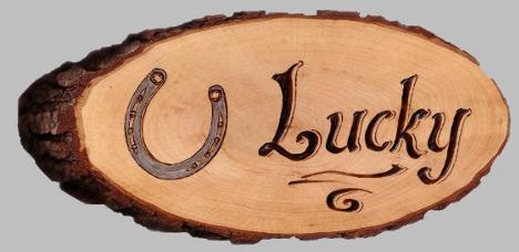 Boxenschild mit Hufeisen, Gravur: Lucky