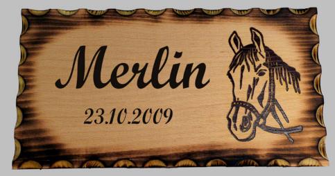 Pferde Boxen Schild Graviert aus Holz 8,99€/Stk. 